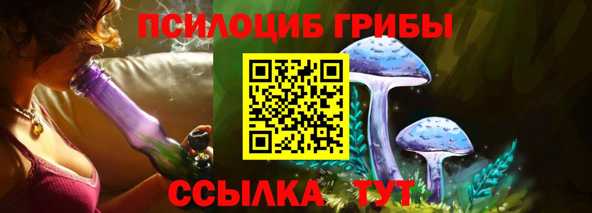 Псилоцибиновые грибы Psilocybine cubensis  Вход с VPN  Галлюциногенные грибы Psilocybe  цена   Можайск 